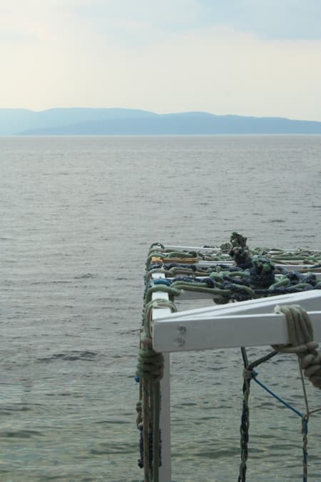 PlivaTri Floating Pavilion